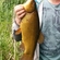 Tench