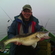 Pike perch