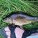 Carp