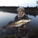 Pike perch