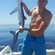 Blue shark
