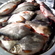 Carp bream
