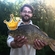 Crucian carp
