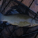 Tench
