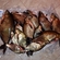 Carp bream