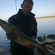Pike perch