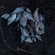 Carp bream