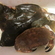 European plaice