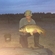Carp