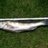 Pike perch