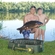 Carp