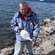 European plaice