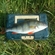 Eurasian perch
