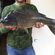 Carp