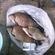 Crucian carp