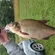 Carp bream