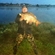 Carp