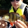 Eurasian perch