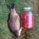 Crucian carp