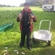 Carp bream