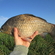 Prussian carp