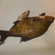 Carp bream