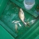Carp bream