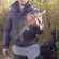 Pike perch