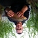 Carp bream