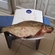 Carp bream