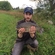 Prussian carp