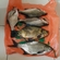 Carp bream