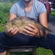 Carp bream