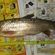 Grass carp