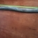European eel