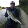 Pike perch