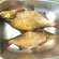 Carp bream