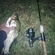 Carp bream