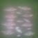 Carp bream