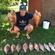Carp bream
