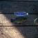 Tench