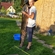 Wels catfish