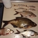 Carp bream