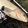 Grass carp