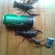 Bryan's sand dart