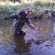 Grayling