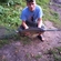 Grass carp