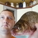 Carp bream