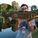 Grass carp