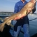 Atlantic cod